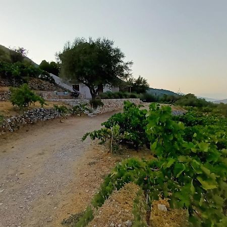 הוילה Perachori Οίνου Γη Ιθάκη - Winelandithaca מראה חיצוני תמונה